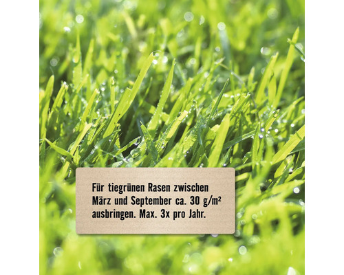 Nahaufnahme von Rasen mit Anwendungshinweis für Rasensamen