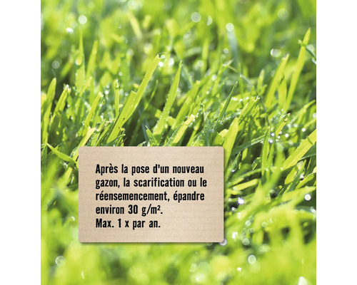 Conseil d''entretien de la pelouse : après la pose d''un nouveau gazon, la scarification ou le réensemencement, épandre environ 30 g/m². Max. 1 fois par an.