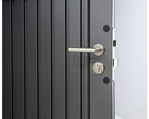 Gros plan d''une porte d''entrée avec poignée et serrure