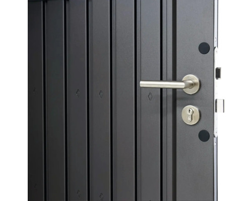 Detailansicht einer modernen Haustür mit Griff und Schloss