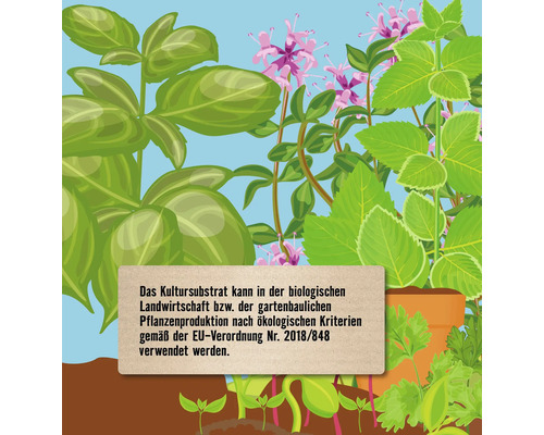 Illustration, die die Verwendung von Kultursubstrat im ökologischen Landbau gemäß EU-Verordnung Nr. 2018/848 zeigt