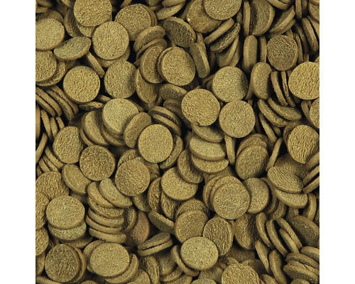 Nahaufnahme von Fischfutterpellets