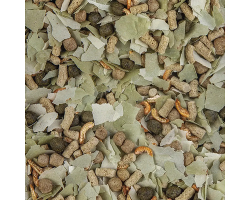 Nahaufnahme von Fischfutter bestehend aus Flocken, Pellets und gefriergetrockneten Garnelen