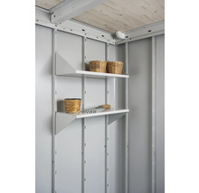 Gerätehaus Biohort Neo 3B Doppeltür 236 x 292 cm silber-metallic
