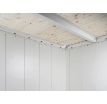 Gerätehaus Biohort Neo 3B Doppeltür 236 x 292 cm silber-metallic