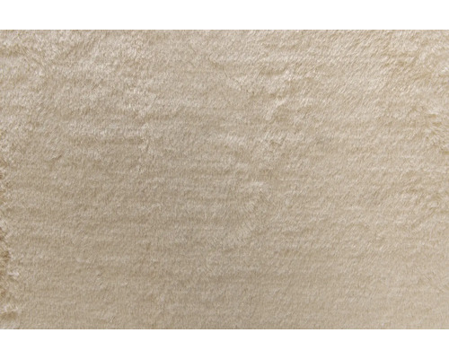 Texture d''un tapis à poils longs