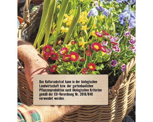 Blumenkorb mit Frühblühern und Hinweisschild zur Verwendung des Kultursubstrats im biologischen Landbau