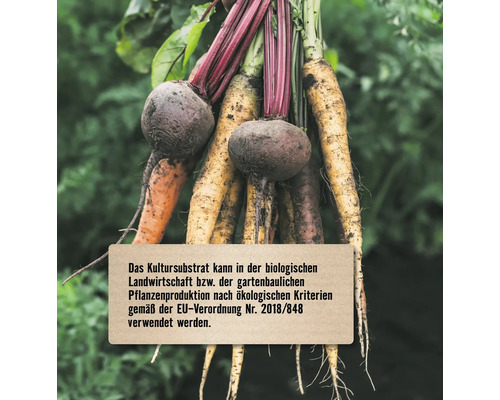 Bündel Karotten und rote Bete mit Hinweistext zur Verwendung in der biologischen Landwirtschaft