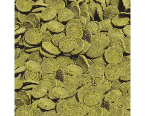 Fischnahrung Granulat nah