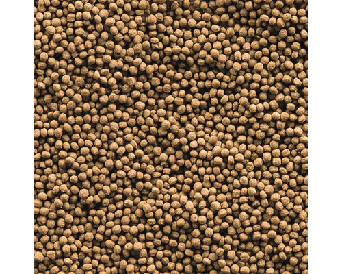 Gros plan de granulés pour poissons