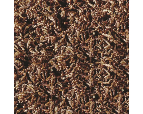 Nahaufnahme von getrockneten Mehlwürmern als Tierfutter