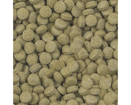 Nahaufnahme von Fischfuttertabletten