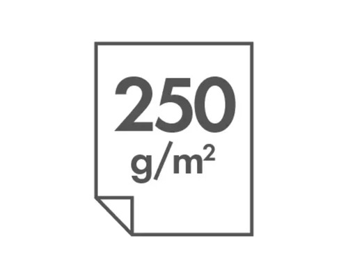 Symbol für Papier mit einer Grammatur von 250 Gramm pro Quadratmeter