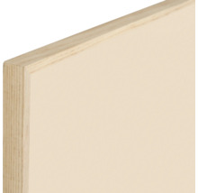 Detailansicht einer beschichteten Holzplatte