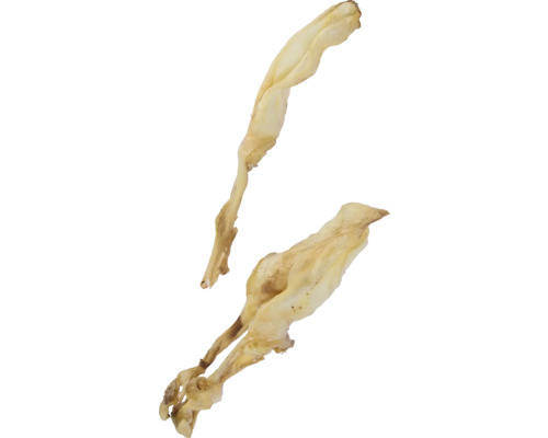Deux asperges
