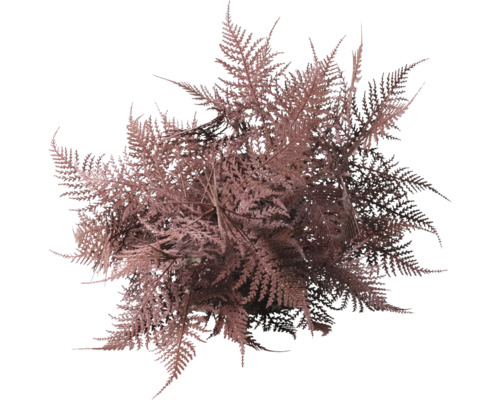 Plante artificielle fougère en pot