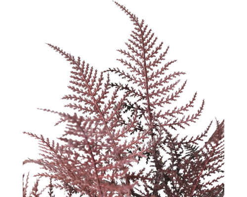 Gros plan d''un cyprès artificiel