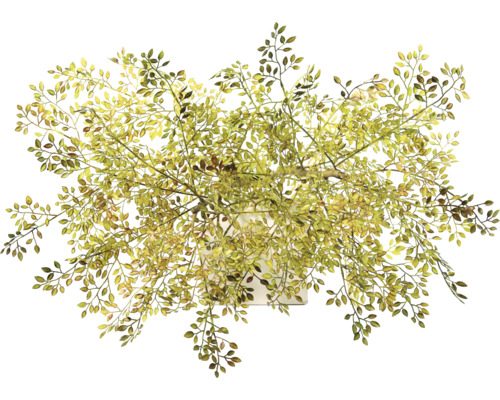 Plante artificielle décorative avec des feuilles dans un pot