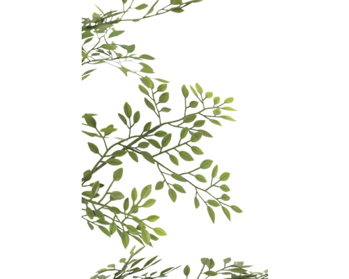 Branche avec feuilles vertes