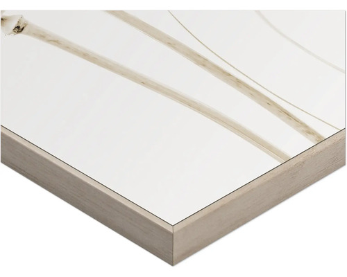 Detailansicht eines gerahmten Bildes mit floralem Motiv