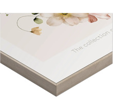 Detailansicht eines gerahmten Bildes mit Blumenmotiv