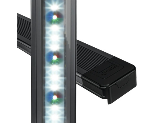 Éclairage d''aquarium avec lampes LED