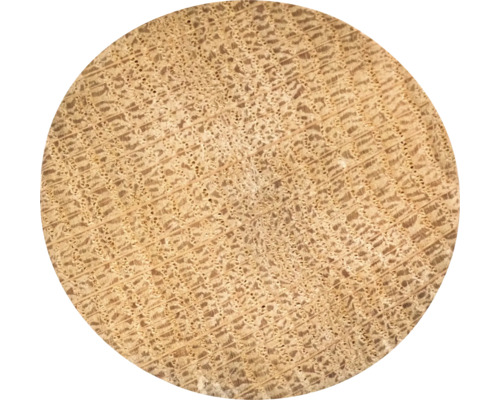 Coupe transversale du bois avec grain visible