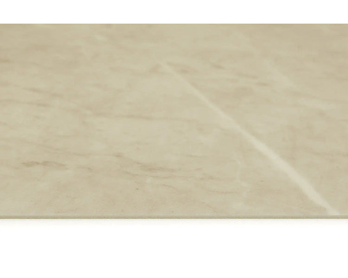 Nahaufnahme einer Bodenfliese mit Marmoroptik