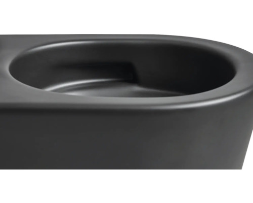 Gros plan de toilettes noires.