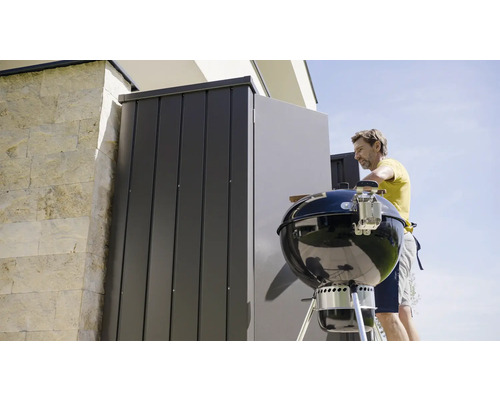 Scène de jardin avec barbecue et armoire à outils
