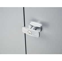 Porte d''armoire avec poignée et serrure