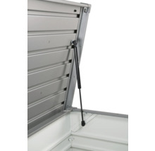 Caisse de rangement Biohort FreizeitBox 130, 134x62x71 cm gris quartz-métallique