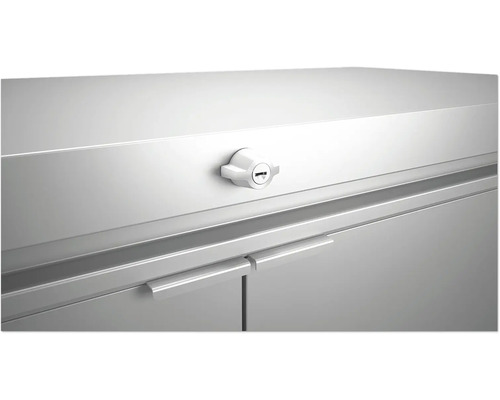 Detailansicht eines verschlossenen Metallschranks mit Griffen