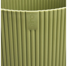 Logo Eho sur un pot de fleurs côtelé