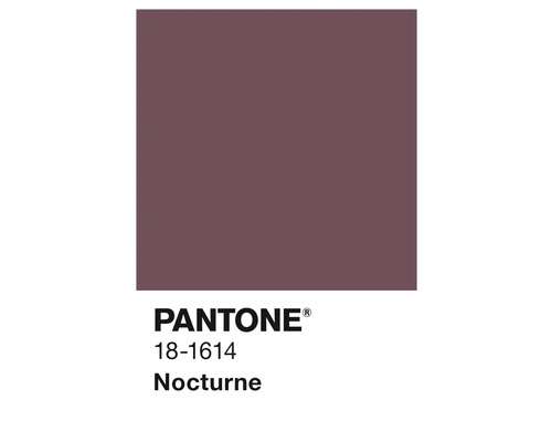 Champ de couleur Pantone 18-1614 Nocturne