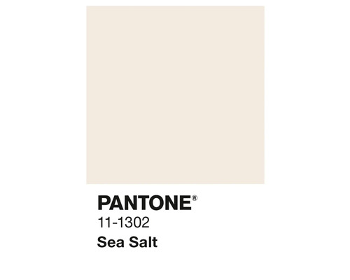 Champ de couleur Pantone 11-1302 Sel marin
