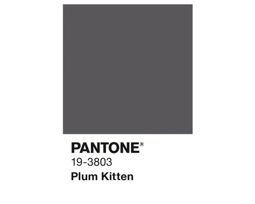 Couleur Pantone 19-3803 Plum Kitten