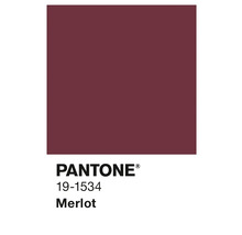 Pantone 19-1534 Merlot Farbton