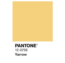 Pantone Farbe Schafgarbe 12-0758