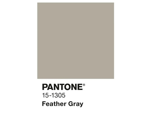 Couleur Pantone 15-1305 Feather Gray