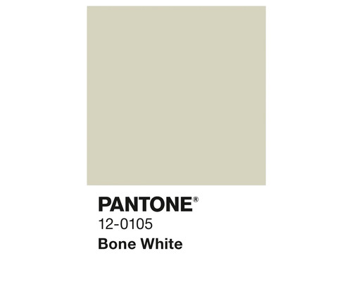 Couleur Pantone 12-0105 Bone White