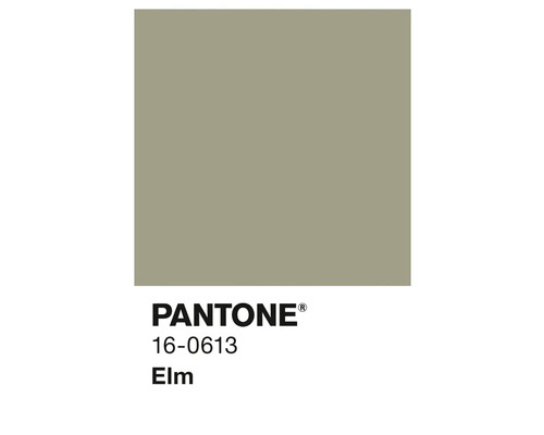 Couleur Pantone 16-0613 Elm