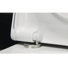 Vue détaillée d'un siège de WC avec charnière en acier inoxydable
