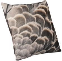 Coussin décoratif avec motif de plumes