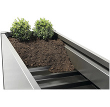 Jardinière surélevée avec terre et plantation