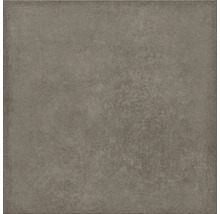 Carreau avec surface mate