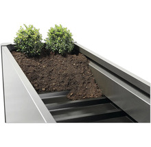 Jardinière surélevée avec terre et plantes