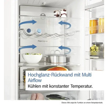 Innenraum eines Kühlschranks mit Umluftkühlung und verschiedenen Lebensmitteln