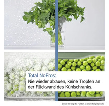 Darstellung der Total No Frost Funktion: kein Abtauen, keine Tropfenbildung an der Kühlschrankrückwand.