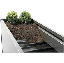 Detailansicht eines bepflanzten Blumenkastens mit Erde und Pflanzen